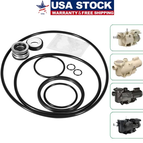 Pool pump gasket - pool, seal
